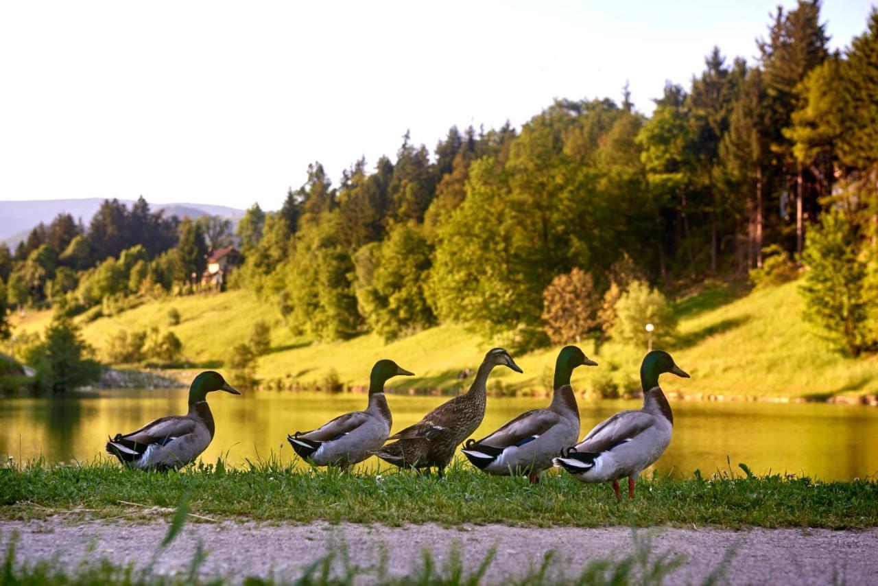 Terme Zrece - Hotel Atrij Bagian luar foto